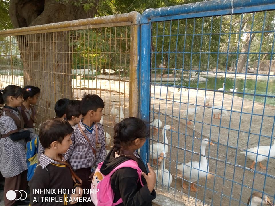 Karachi Zoo